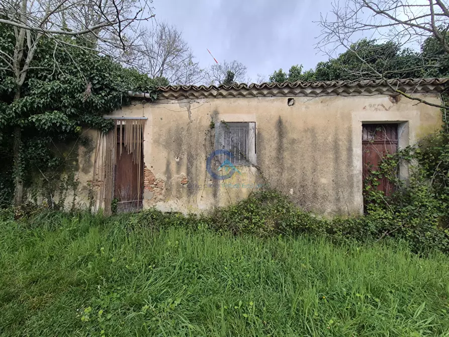 Immagine 2 di Magazzino in vendita  in CONTRADA CERASIA a Borgia