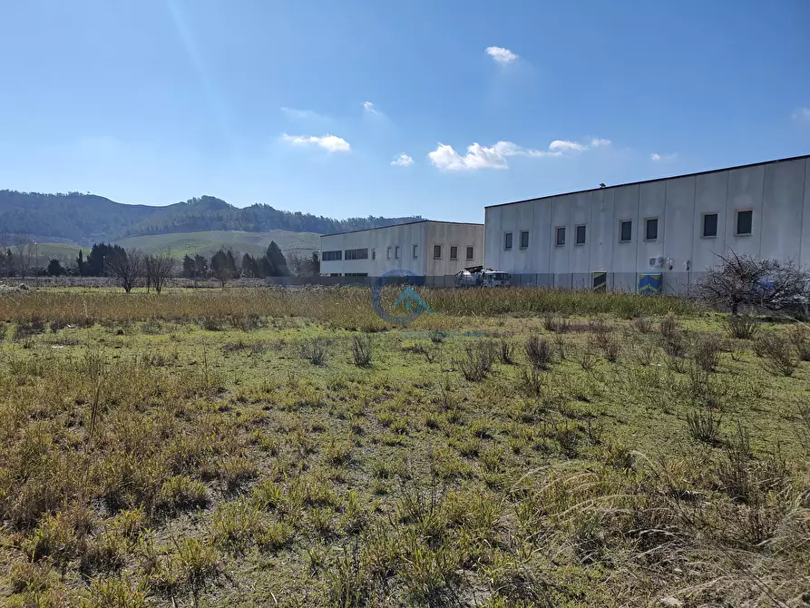 Immagine 3 di Terreno industriale in vendita  in Località Difesa a Caraffa Di Catanzaro
