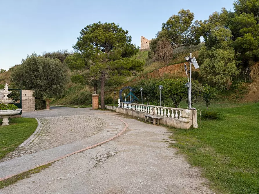 Immagine 7 di Appartamento in vendita  a Catanzaro