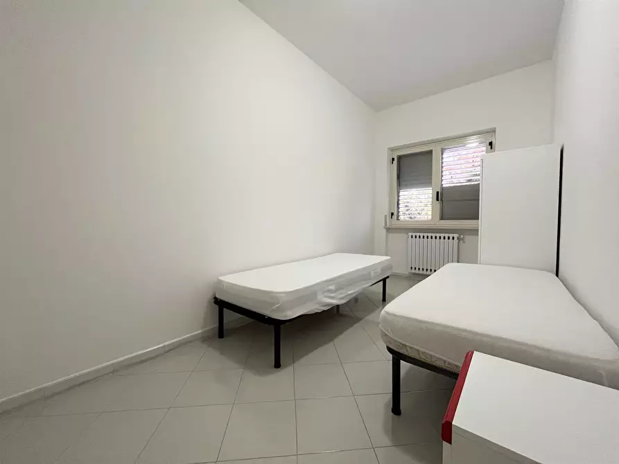 Immagine 8 di Trilocale in affitto  a Catanzaro