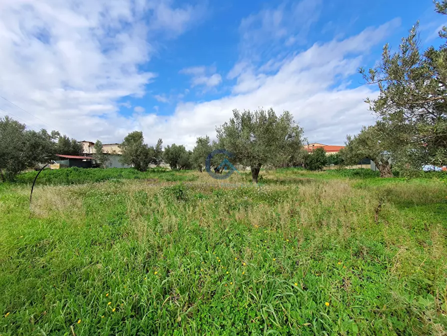 Immagine 5 di Terreno edificabile in vendita  in Via Fiume Neto 9 a Catanzaro