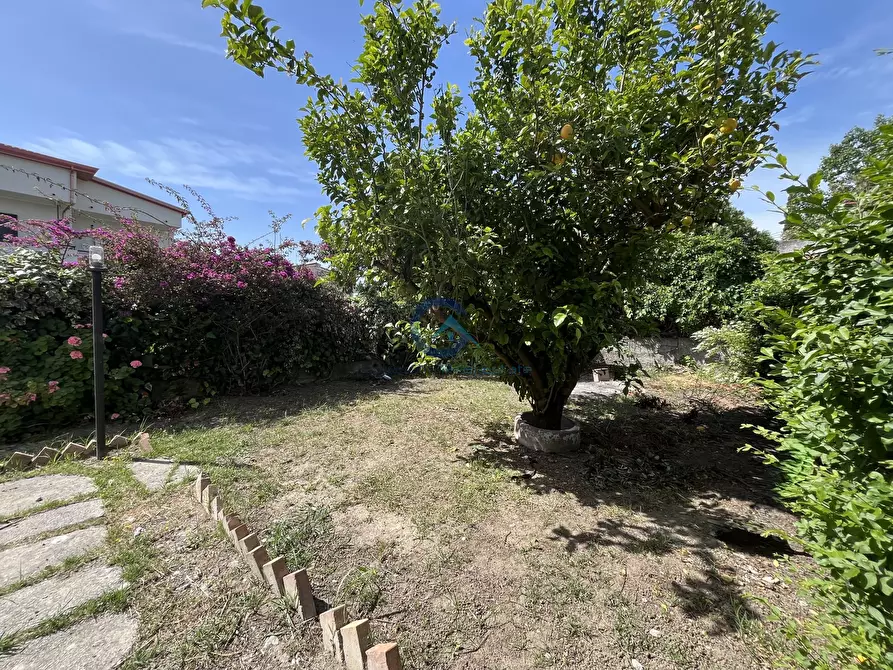 Immagine 18 di Attico in vendita  in Viale San Francesco da Paola 1 a Sellia Marina