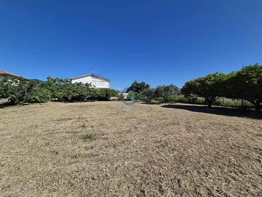 Immagine 6 di Terreno edificabile in vendita  in Via Giovanni Falcone 39 a Borgia