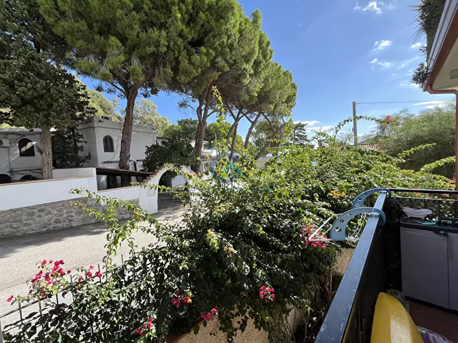 Immagine 4 di Quadrilocale in vendita  in Via Marina di Pietragrande 12 a Montauro