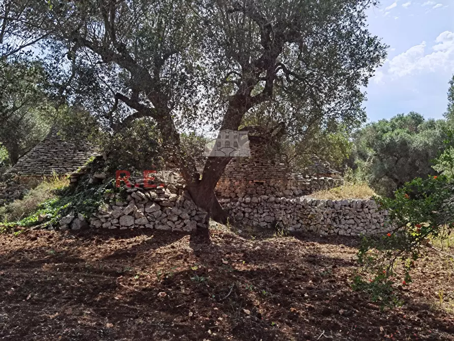 Immagine 13 di Baita in vendita  a Ceglie Messapico