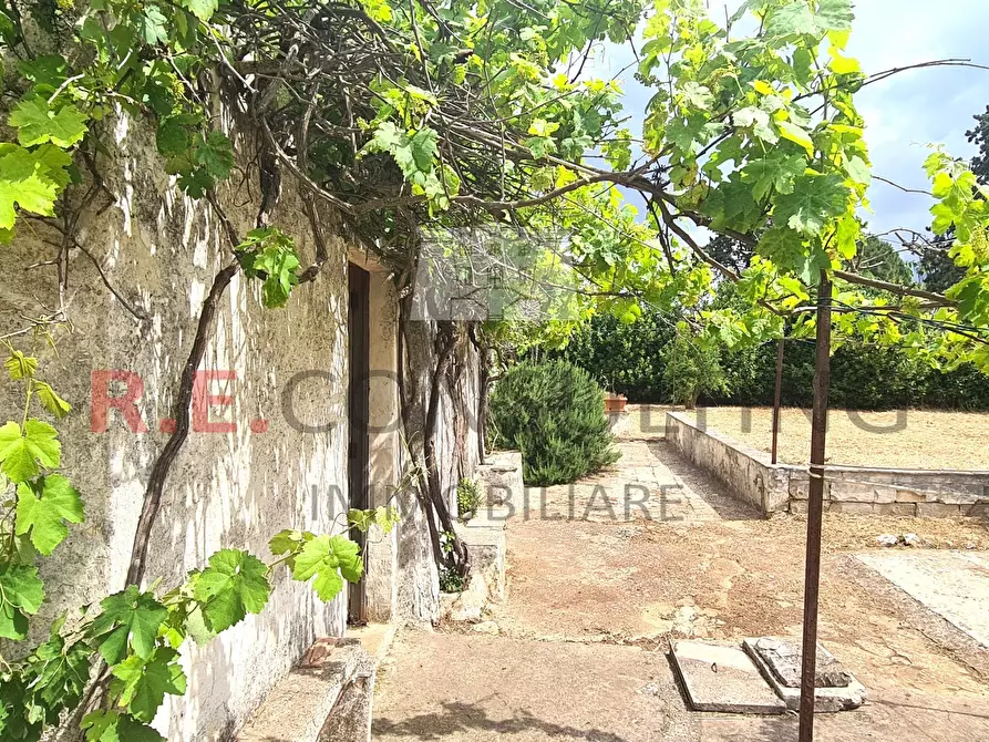 Immagine 7 di Rustico / casale in vendita  a Martina Franca