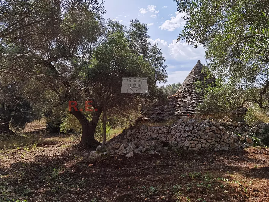 Immagine 7 di Baita in vendita  a Ceglie Messapico