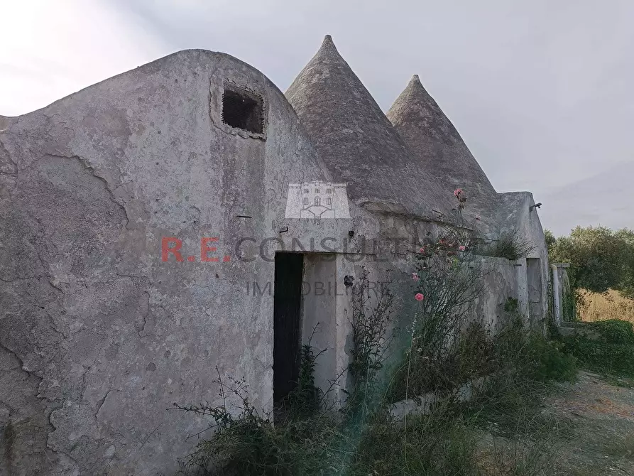 Immagine 4 di Rustico / casale in vendita  in SP49 172 a Martina Franca