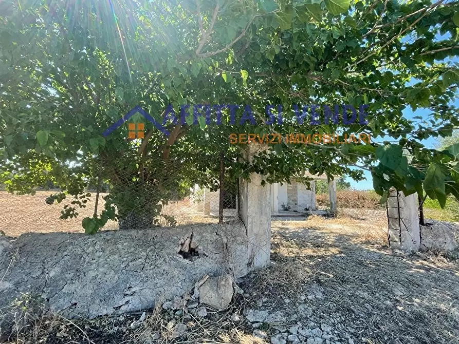 Immagine 32 di Terreno agricolo in vendita  in Traversa Maeggio di Sopra a Siracusa