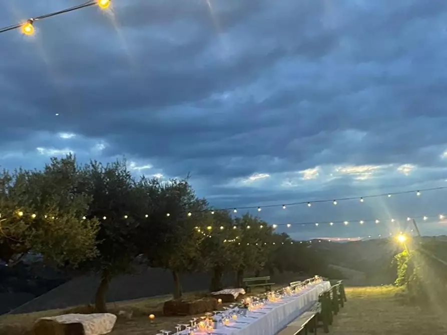Immagine 5 di Azienda agricola in affitto  a Città Sant'angelo