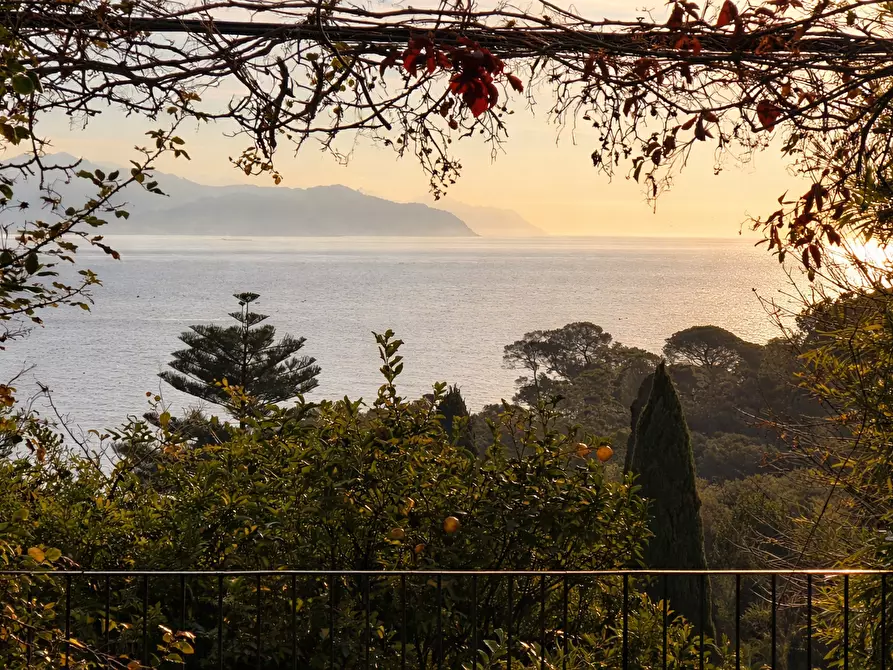 Immagine 3 di Trilocale in vendita  a Rapallo