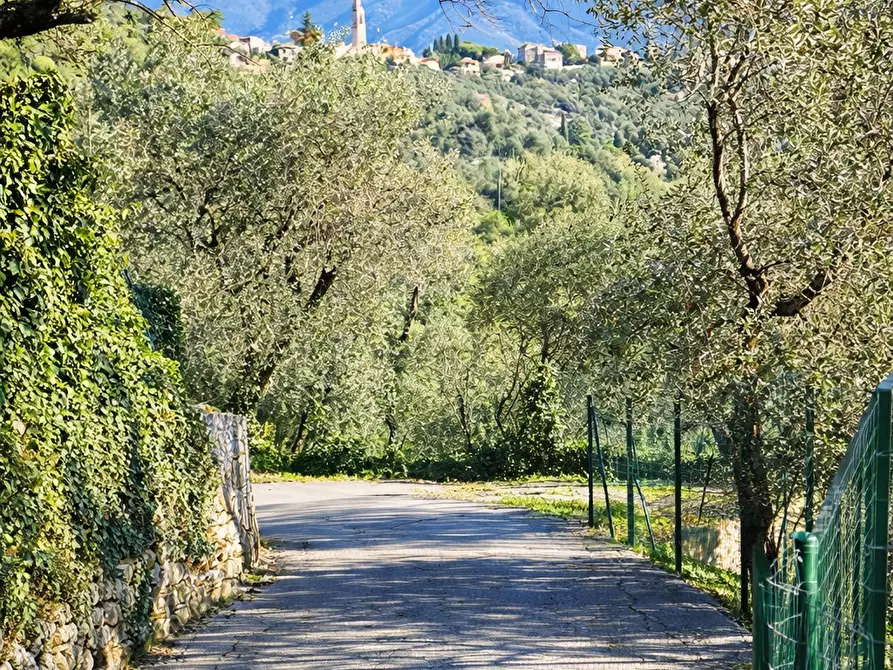 Immagine 12 di Casa bifamiliare in vendita  a Santa Margherita Ligure