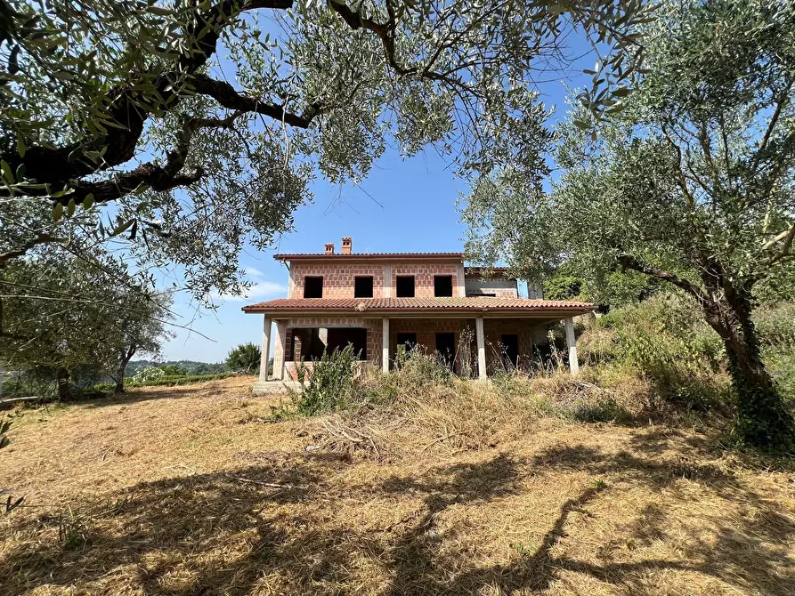 Immagine 3 di Villa in vendita  a Civitella San Paolo