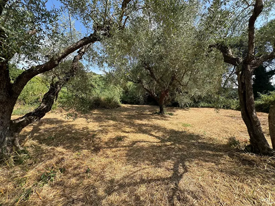 Immagine 22 di Villa in vendita  a Civitella San Paolo