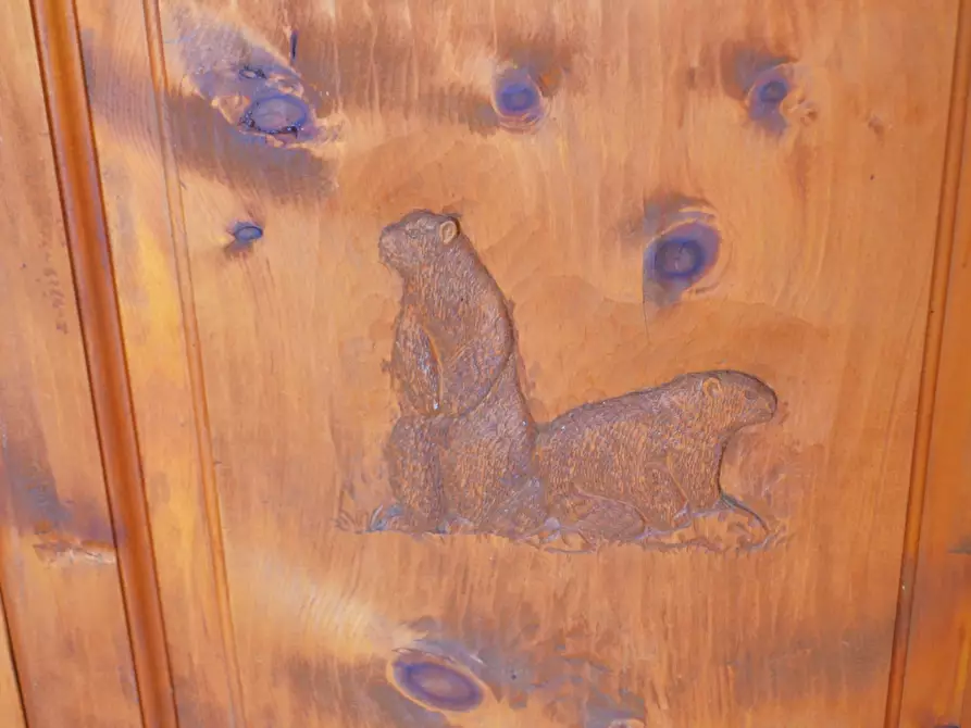 Immagine 29 di Trilocale in vendita  in via san giovanni 3 a Pragelato