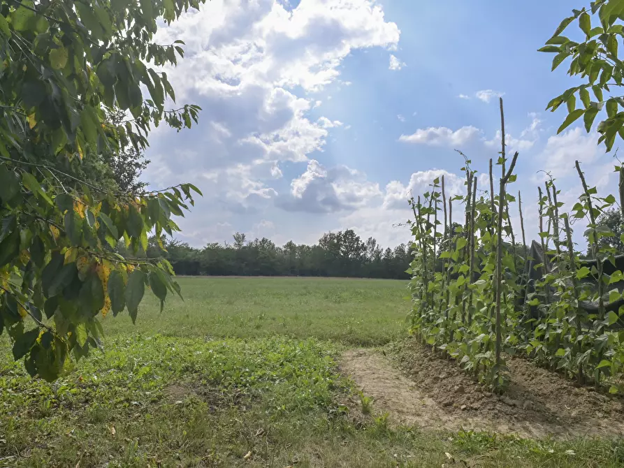 Immagine 12 di Agriturismo in vendita  in Via Vauda 56 a Lombardore