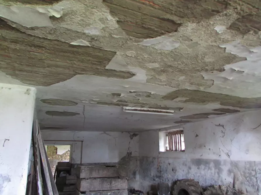 Immagine 30 di Rustico / casale in vendita  a Todi