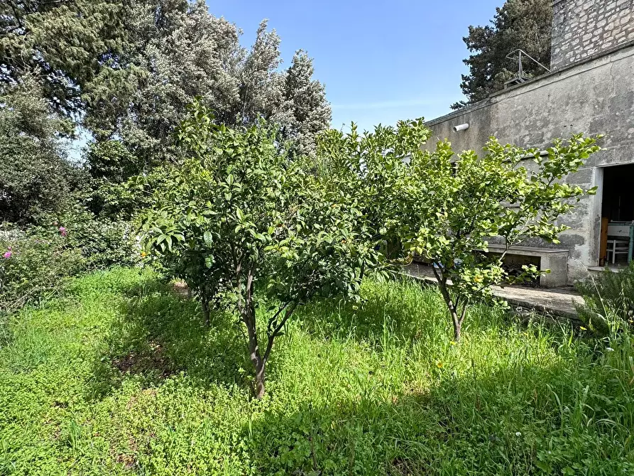 Immagine 14 di Porzione di casa in vendita  in contrada tavarello a Monopoli