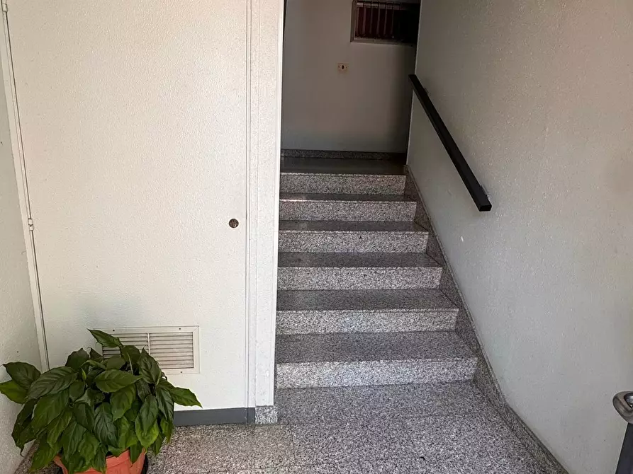 Immagine 3 di Trilocale in vendita  in Via Michelangelo Buonarroti a Monopoli