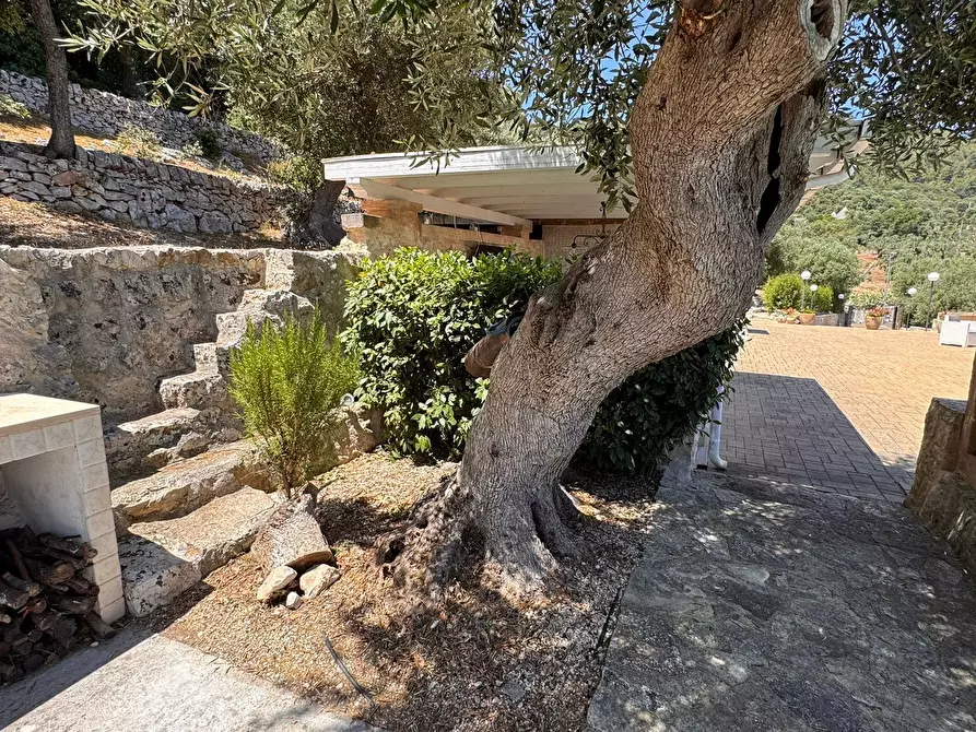 Immagine 23 di Rustico / casale in vendita  in Viale Monte Cannone a Fasano