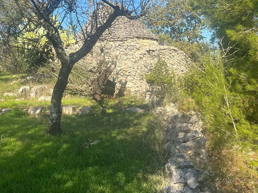 Immagine 2 di Rustico / casale in vendita  in Via Vd'impelo a Castellana Grotte