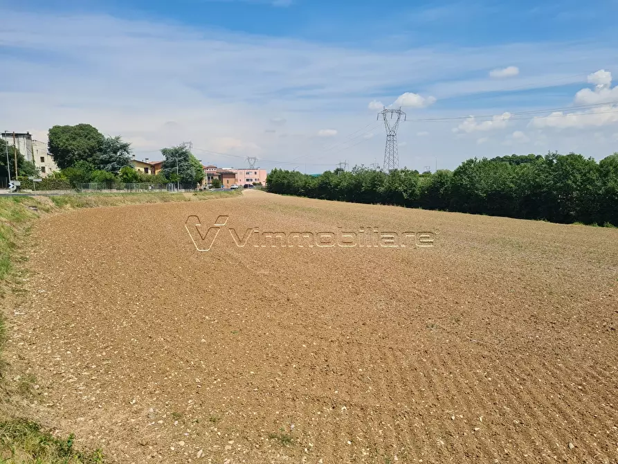 Immagine 6 di Terreno agricolo in vendita  in Via Cà Bassa a Albettone