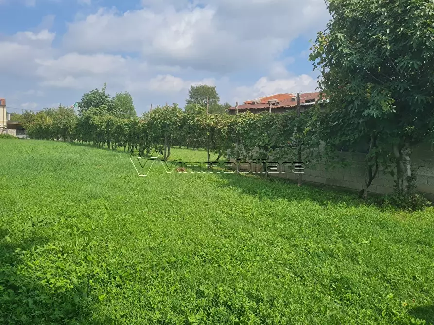 Immagine 11 di Casa trifamiliare in vendita  in Via Strada Pozzetto 20 a Albettone