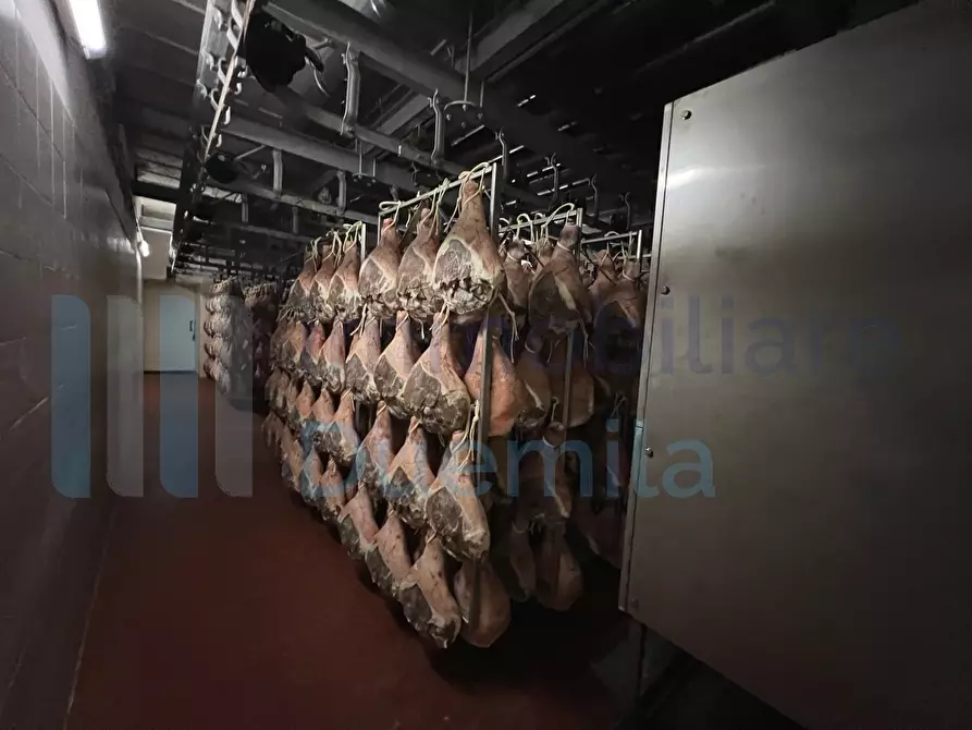 Immagine 8 di Attività artigianale in vendita  a Savignano Sul Panaro