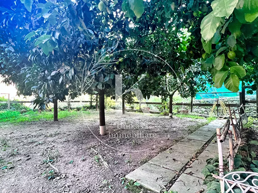 Immagine 16 di Villa in vendita  in Via per Calice a Finale Ligure