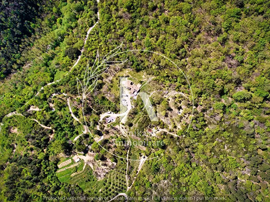 Immagine 26 di Rustico / casale in vendita  in Orco Feglino a Orco Feglino