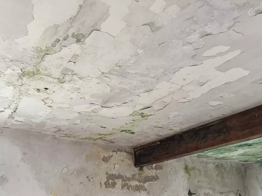 Immagine 24 di Rustico / casale in vendita  in San Bartolomeo del Bosco a Savona