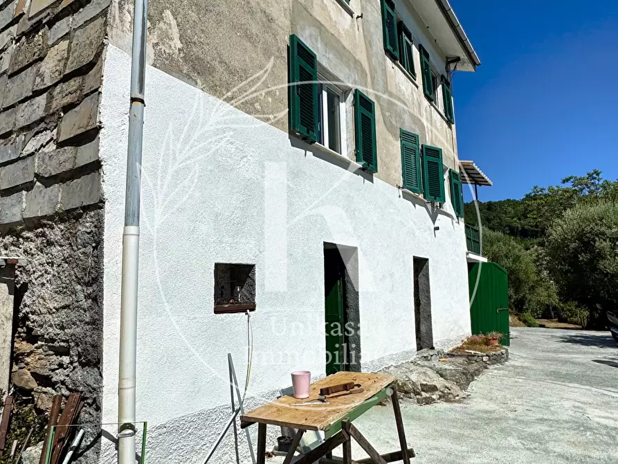 Immagine 13 di Casa indipendente in vendita  in Località Mezzano 22 a Stella