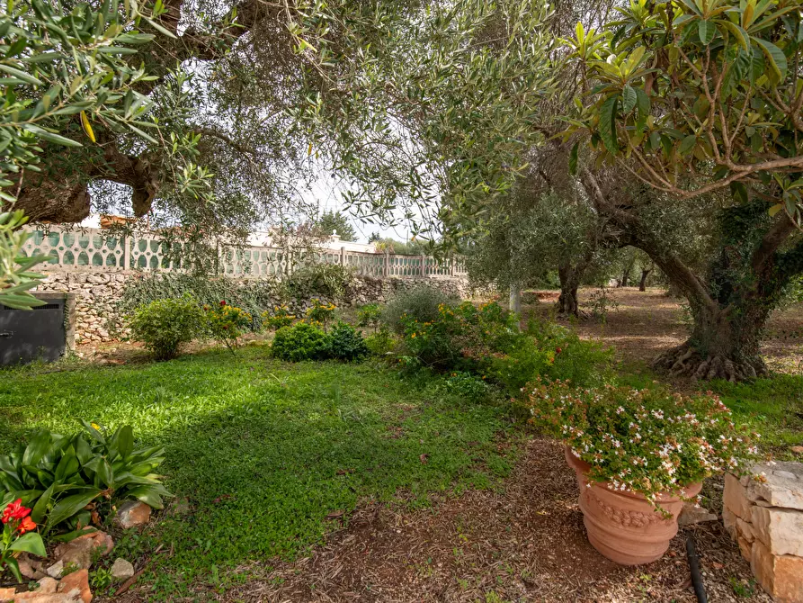 Immagine 13 di Villa in vendita  in contrada molillo a Ostuni