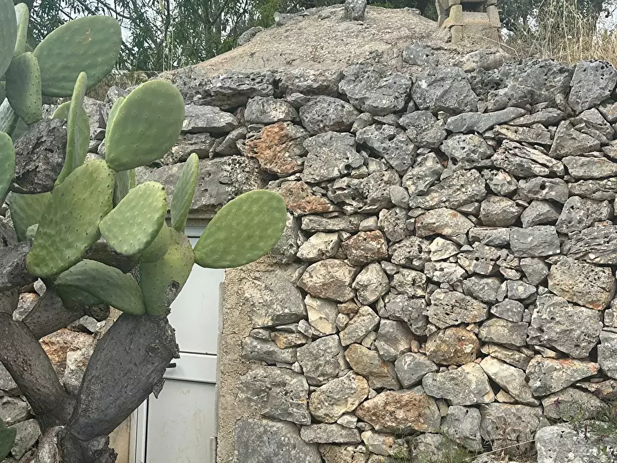 Immagine 20 di Casa indipendente in vendita  in Strada Provinciale 17 a Ostuni