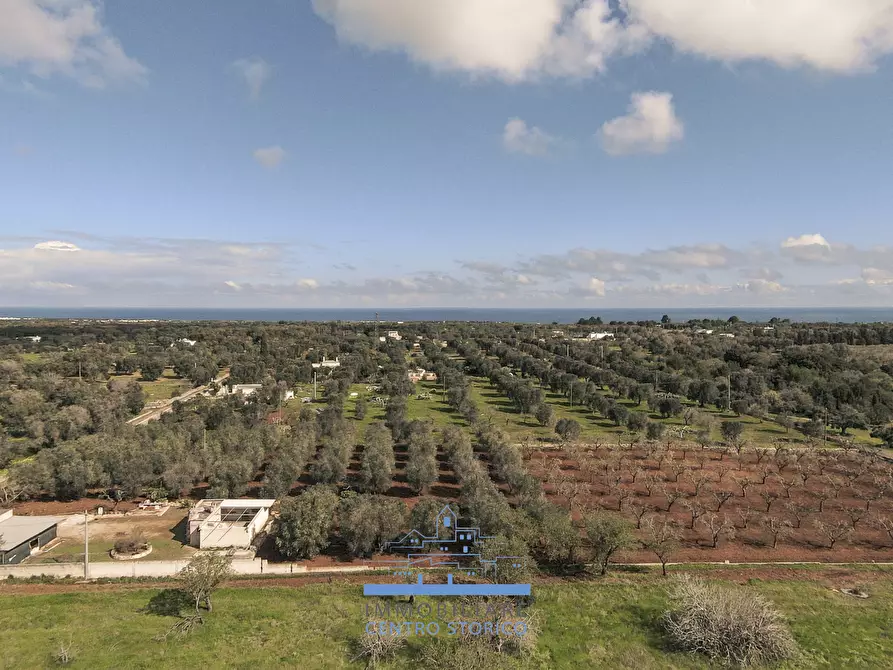 Immagine 4 di Villa in vendita  in contrada sierri a Carovigno