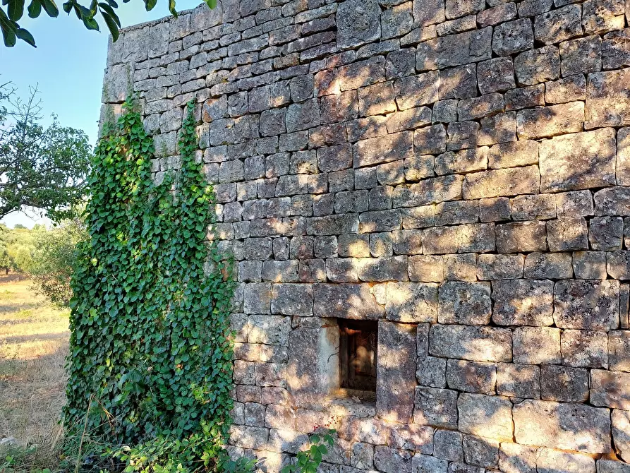 Immagine 34 di Casa indipendente in vendita  in Contrada Panza a Cisternino