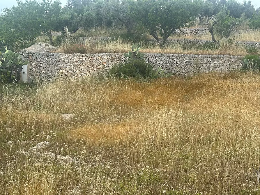 Immagine 17 di Casa indipendente in vendita  in Strada Provinciale 17 a Ostuni