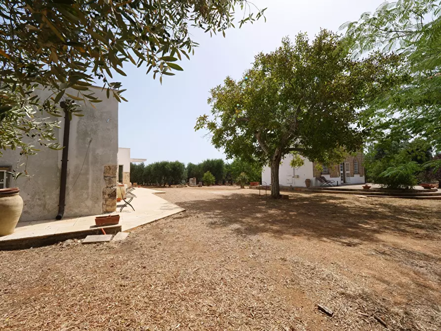 Immagine 29 di Rustico / casale in vendita  in Via Papa Giovanni XXIII a Ostuni