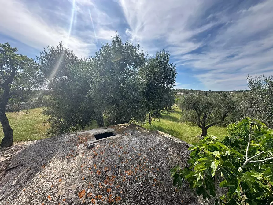 Immagine 24 di Rustico / casale in vendita  in Strada Provinciale 17 a Ostuni