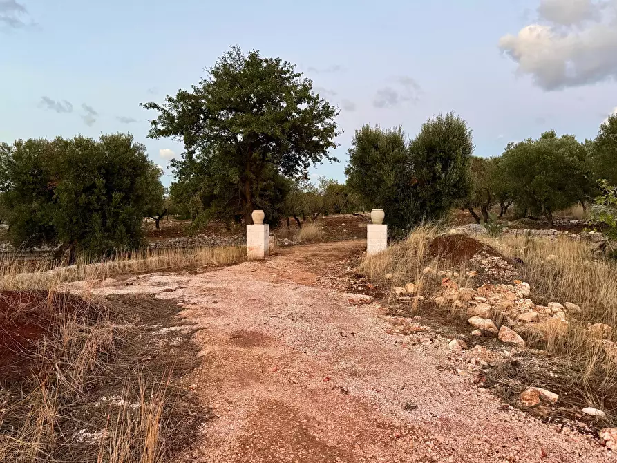Immagine 6 di Casa indipendente in vendita  in Contrada candelora a Ostuni