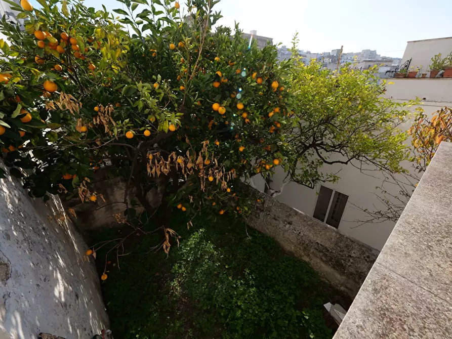 Immagine 23 di Casa indipendente in vendita  in Via Gaspare Petrarolo a Ostuni