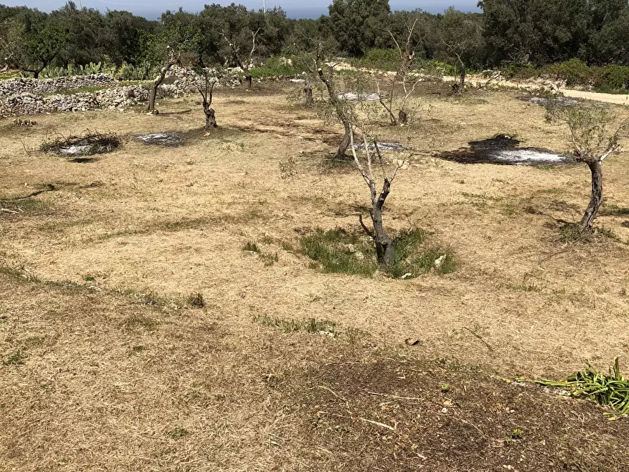Immagine 8 di Casa indipendente in vendita  in Contrada Malandrino a Ostuni