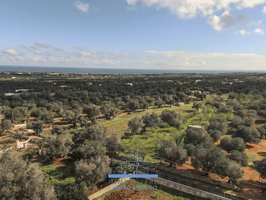 Immagine 2 di Terreno edificabile in vendita  in contrada sierri a Carovigno