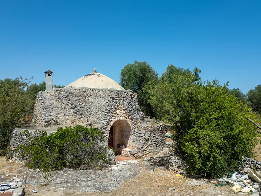 Immagine 11 di Casa indipendente in vendita  in Strada Provinciale 29 a Ostuni