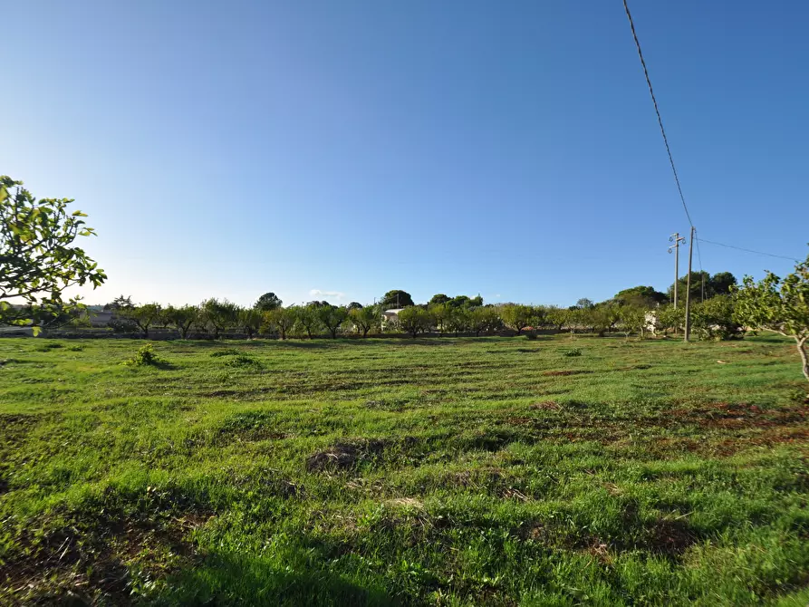 Immagine 3 di Villa in vendita  in SP28 33 a Ostuni