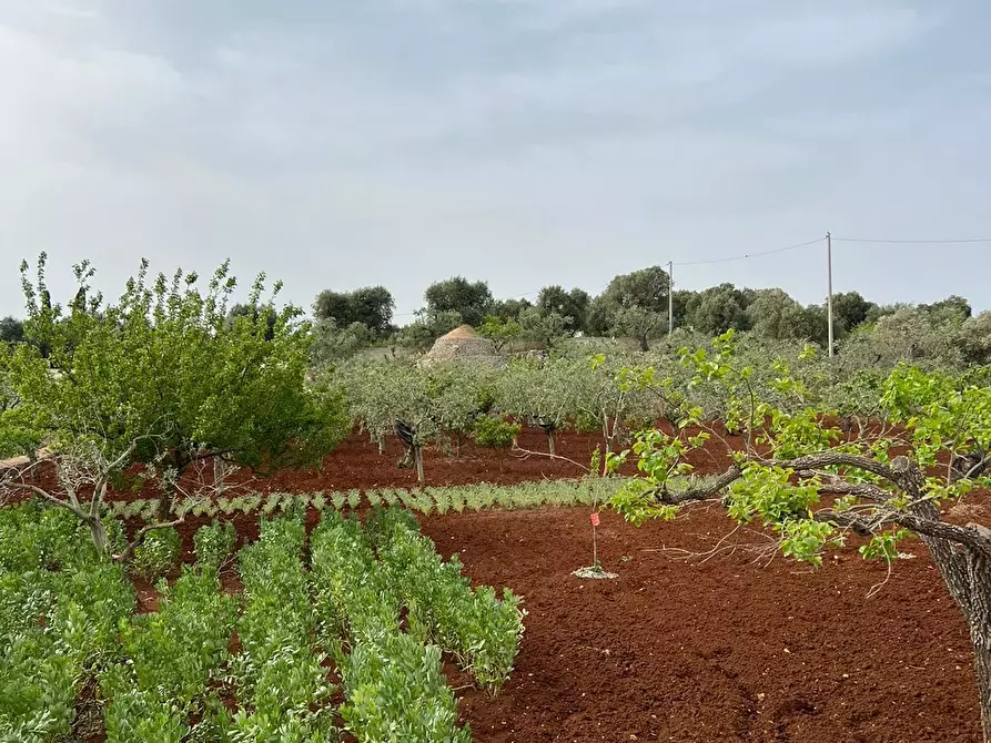 Immagine 31 di Villa in vendita  in Strada Provinciale 22sp 22 a Ostuni