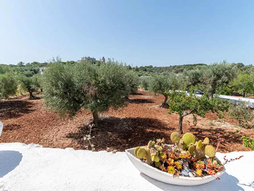 Immagine 22 di Villa in vendita  in Via Provinciale Martina Franca a Ostuni