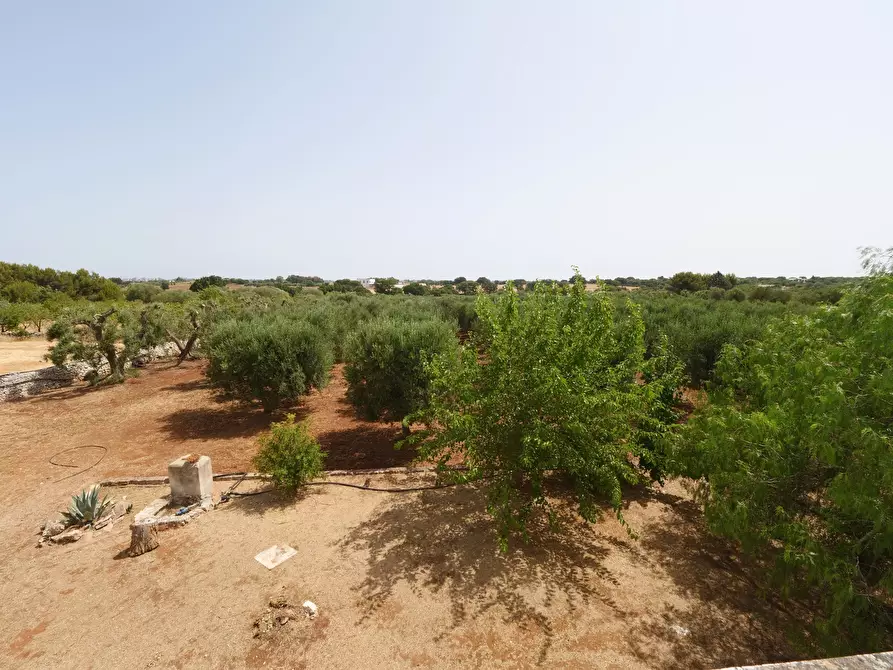 Immagine 26 di Rustico / casale in vendita  in Via Papa Giovanni XXIII a Ostuni