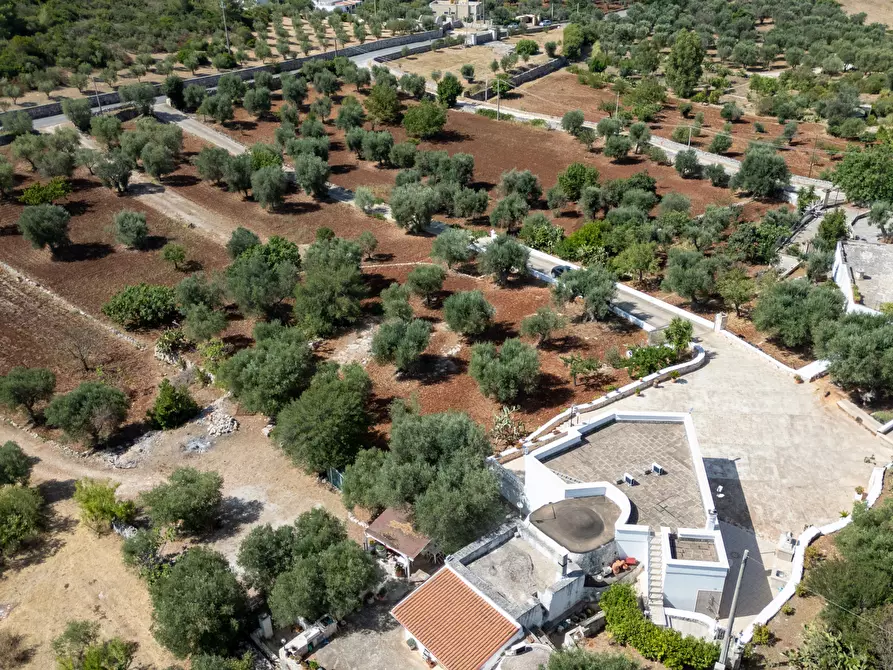 Immagine 8 di Villa in vendita  in Via Provinciale Martina Franca a Ostuni