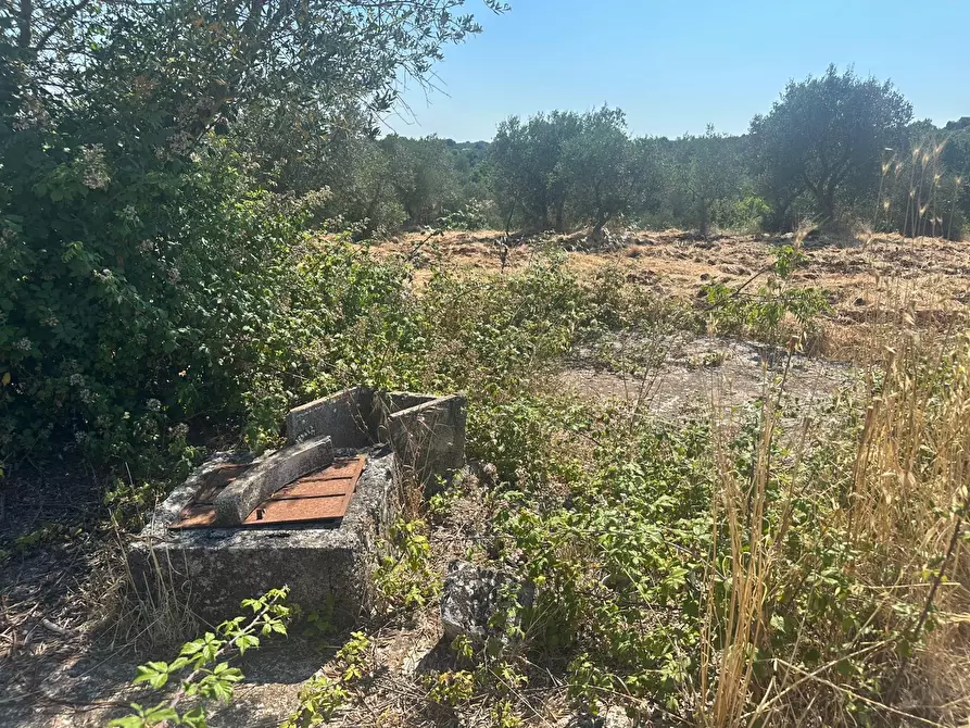 Immagine 19 di Casa indipendente in vendita  in Contrada Galante a Ceglie Messapico